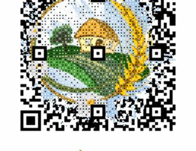 Администрация